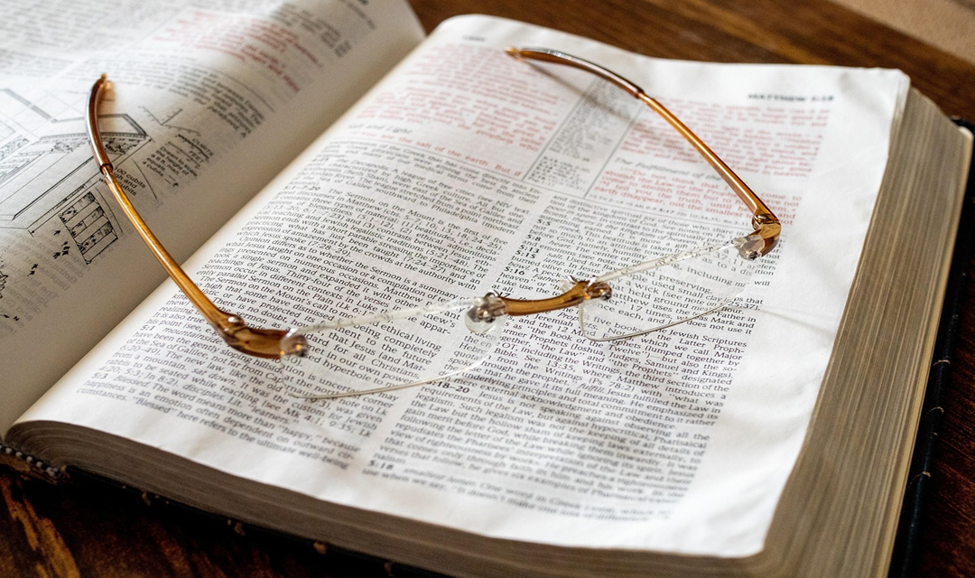 DB135-How to Choose A Study Bible-lg