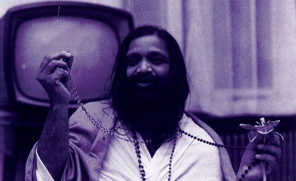 Be Still and Observe the Text