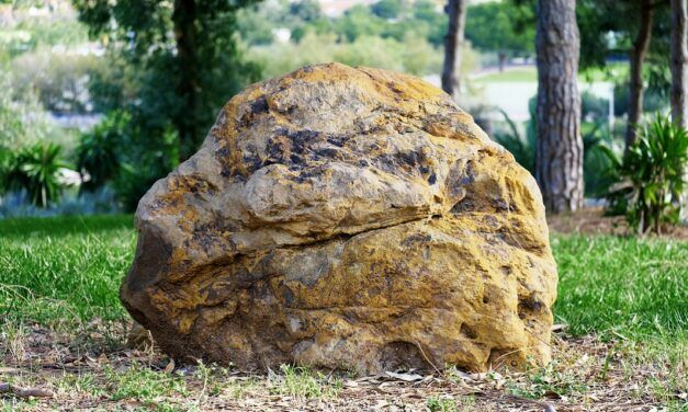 Can God Create a Rock so Heavy that He Can’t Move It?