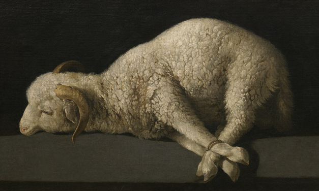 Is the Shedding of Blood Necessary for Forgiveness?