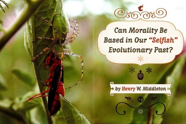 Can Morality Be Based in Our “Selfish” Evolutionary Past?