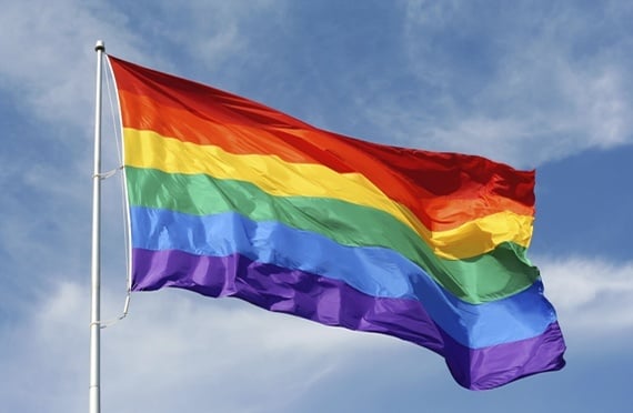 Speaking Of Homosexuality:  A Christian Response to the Arguments of the Gay Rights Movement