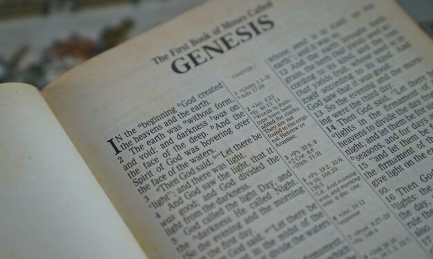 The Framework Interpretation of the Days of Creation