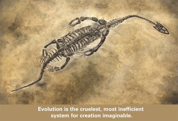 cruel evolution