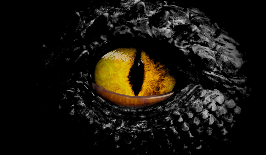 WEB HUP YT Is there a biblical distinction between dinosaurs and dragons (1)