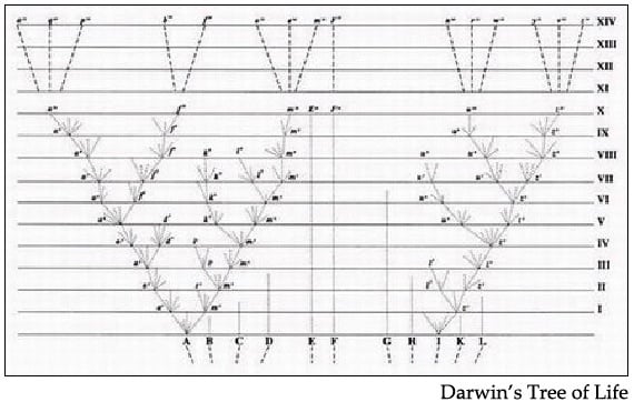 Darwin's Tree of Life