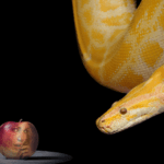 Was Eve Deceived by a Talking Snake?
