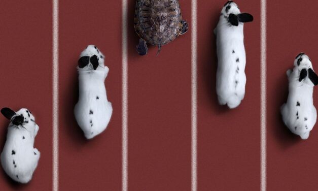 Why Natural Selection Cannot Explain the Origin of Animal Development