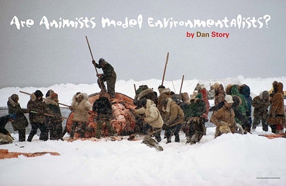 Are Animists Model Environmentalists?