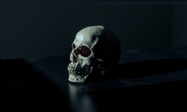 Fussing over Fossils: Review of The Fossil Chronicles by Dean Falk