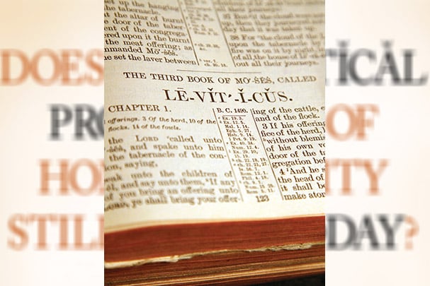 Does the Levitical Prohibition of Homosexuality Still Apply Today?