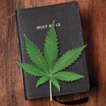 Episode 3 What Does the Bible Teach about the Cannabis Plant?