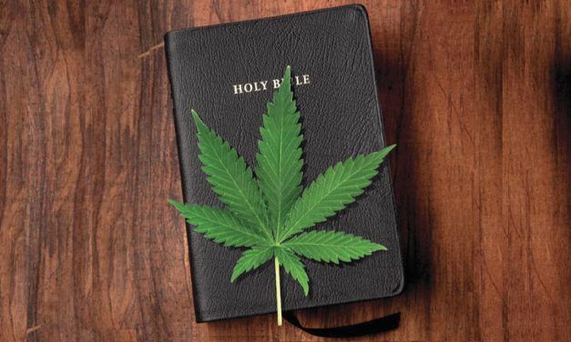 Episode 3 What Does the Bible Teach about the Cannabis Plant?