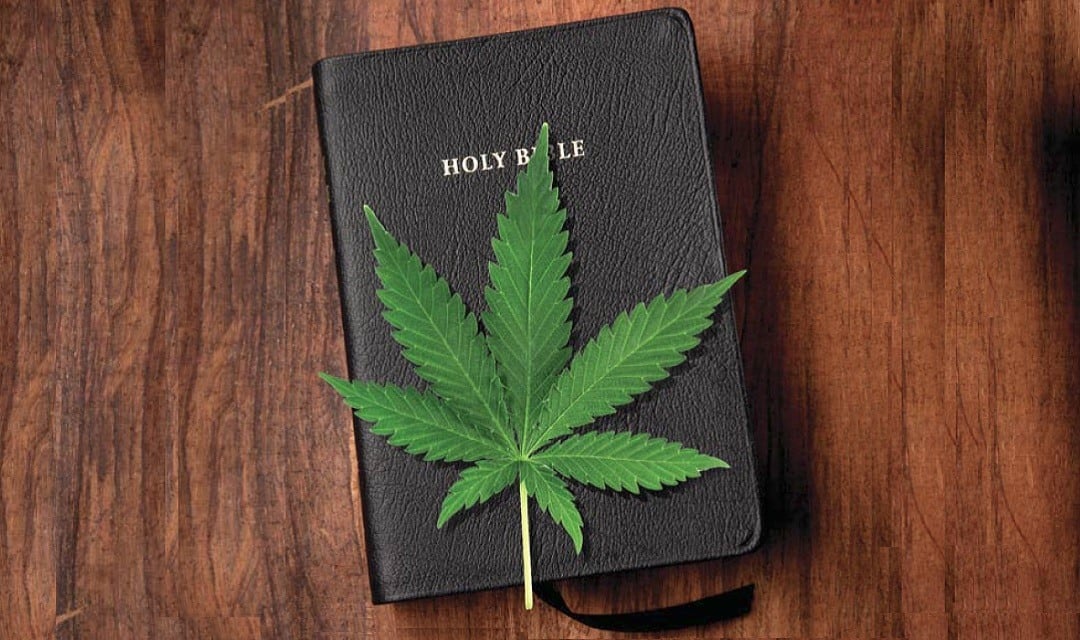 Episode 3 What Does the Bible Teach about the Cannabis Plant?