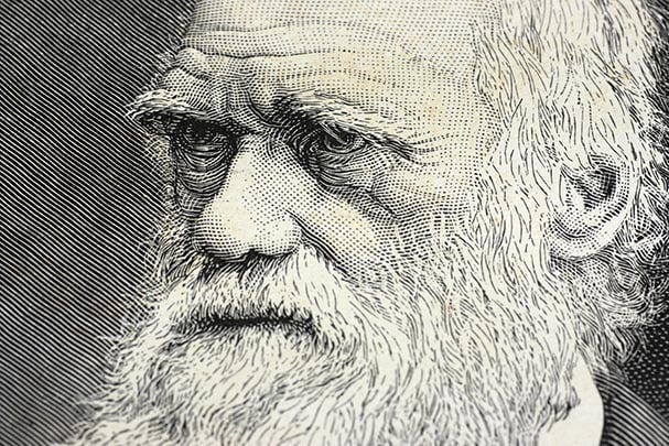 Charles Darwin Etching