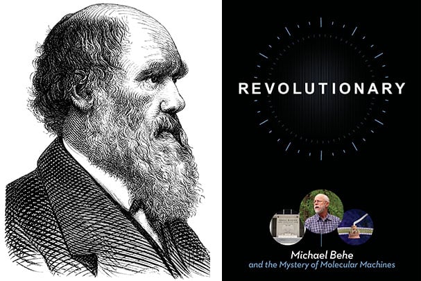 Charles Darwin engraving and Revolutionary DVD cover