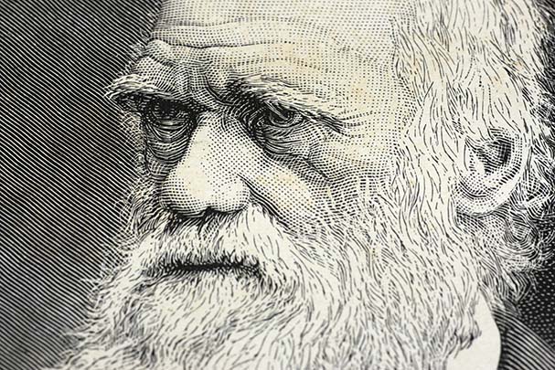 Charles Darwin engraving