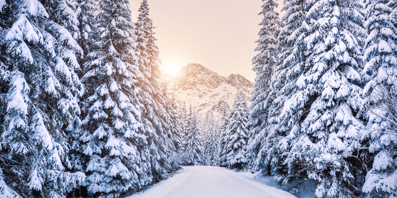 The Heart of Christmas with Christina Hanegraaff