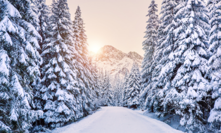 The Heart of Christmas with Christina Hanegraaff