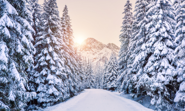 The Heart of Christmas with Christina Hanegraaff