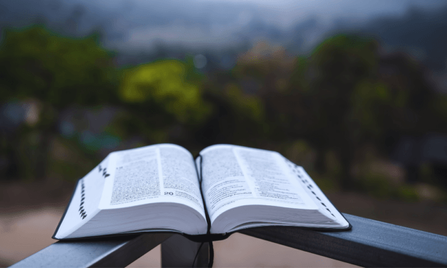 What are the L-I-G-H-T-S on your path to mining the Bible for all its wealth?