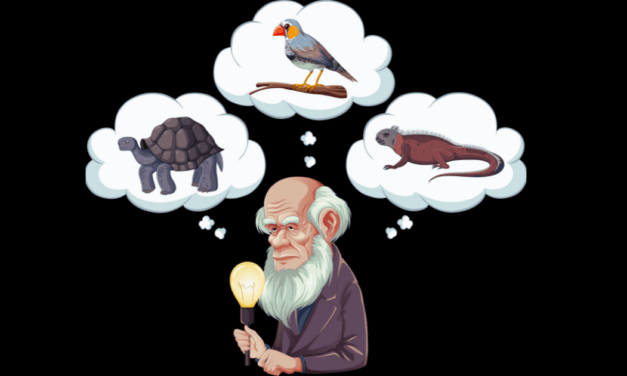 Last Days of Darwinism, with Dr. Stephen C. Meyer