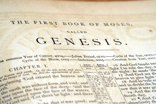 Is the Genesis Creation Account Contradictory? and Q&A