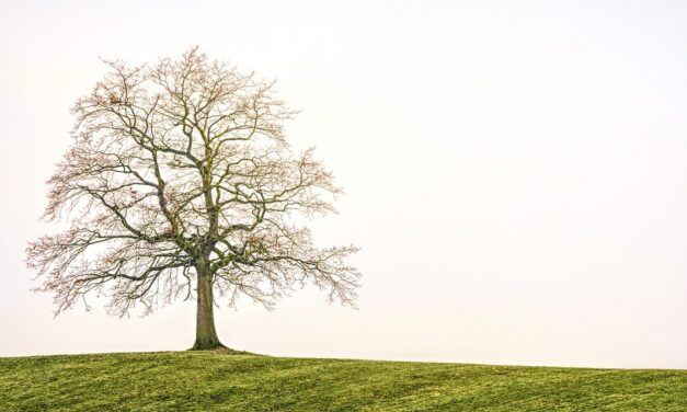 If I Feel It, It’s True: Responding to the Rise of Emotionalism