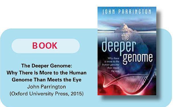 The Genome Iceberg: A Review of The Deeper Genome:  Why There is More to the Human  Genome than Meets the Eye by John Parrington