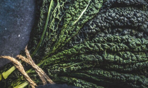 Veggie Tales Gone Rogue: PETA, Veganism, and the Christian Faith (A Summary of Themes from What Would Jesus Really Eat?)
