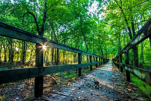 Natchez Trace Hiking