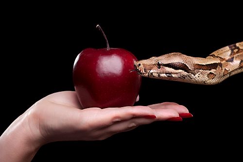 Temptation
