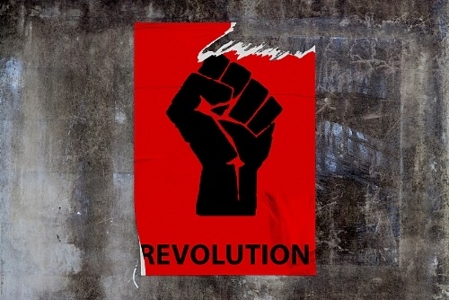 Best of BAM Socialism Graphic