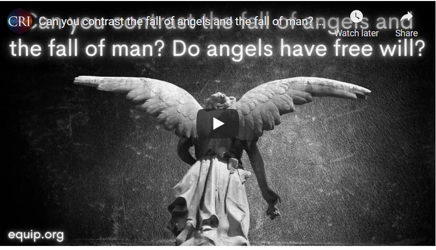 Can you contrast the fall of angels and the fall of man? Do angels have free will?