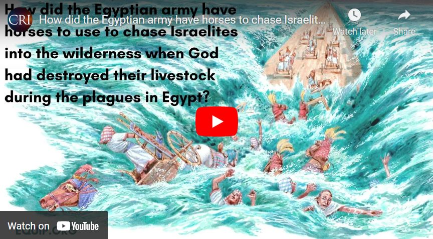 How did the Egyptian army have horses to chase Israelites into the wilderness in Exodus14?