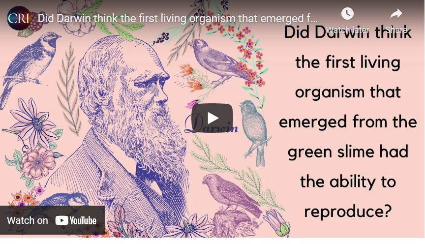 Did Darwin think the first living organism that emerged from green slime could reproduce?