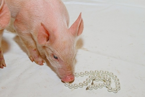 Q&A: Limits to God’s Forgiveness, Archaeology, and Casting Pearls Before Swine