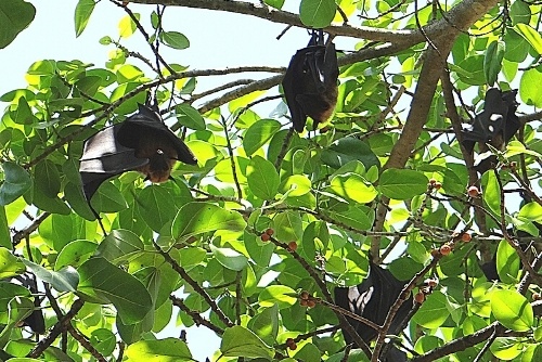 Q&A: Ghosts, Obeying Civil Authorities, and Evolution