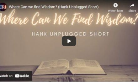 Where Can we find Wisdom? (Hank Unplugged Short)