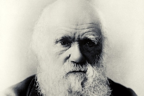Taking Leave of Darwin with Neil Thomas – Part 1