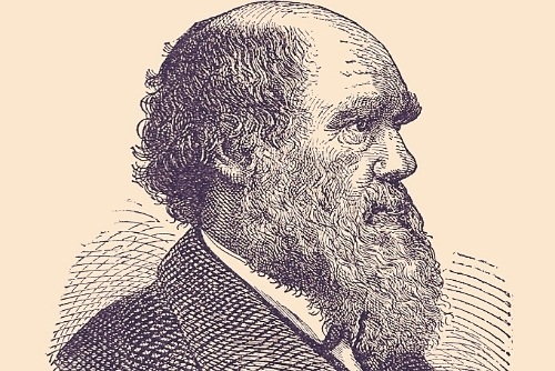 Taking Leave of Darwin with Neil Thomas – Part 4