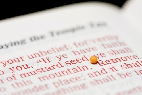 Matthew Chapter 13: The Parable of the Weeds and the Mustard Seed