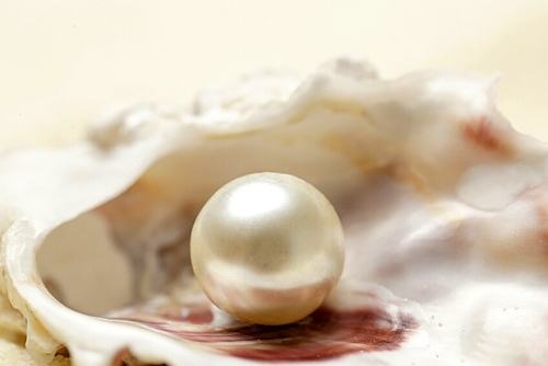 Matthew Chapter 13: The Parables of the Yeast, Hidden Treasure and the Pearl