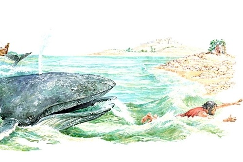 Matthew Chapter 12: The Sign of Jonah