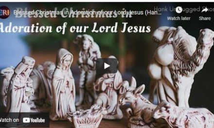 Blessed Christmas in Adoration of our Lord Jesus (Hank Unplugged Short)