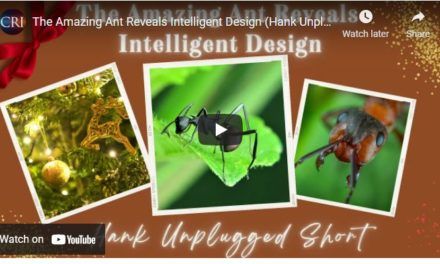 The Amazing Ant Reveals Intelligent Design (Hank Unplugged Short)