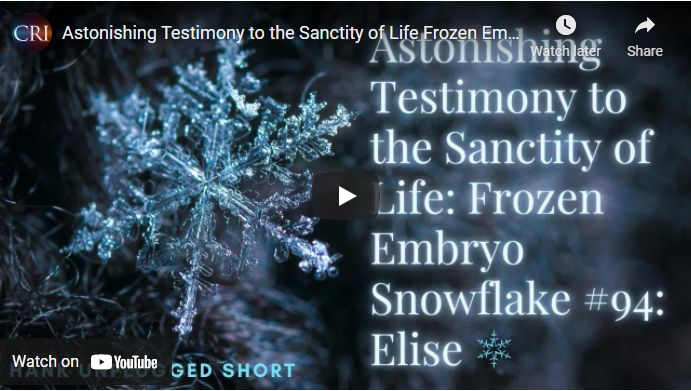 Astonishing Testimony to the Sanctity of Life Frozen Embryo Snowflake (Hank Unplugged Short)