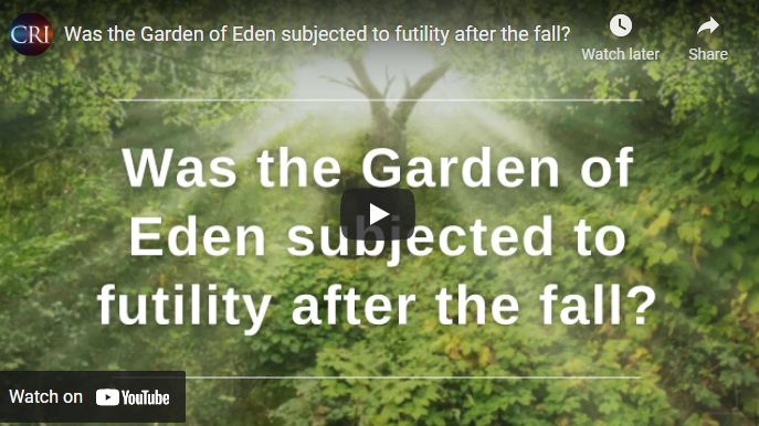 Was the Garden of Eden subjected to futility after the fall?