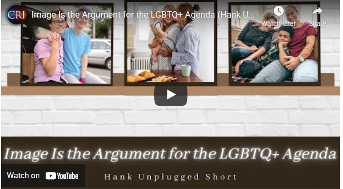 Image Is the Argument for the LGBTQ+ Agenda (Hank Unplugged Short)