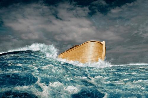 Q&A: Church Attendance, Suicide, and the Flood